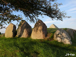 Grønsalen