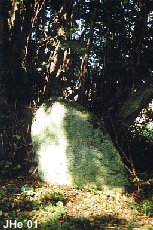 One of the Bauta-stones at Busene Have