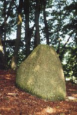 Bauta stone at Karensby, Møn, photo by JHe