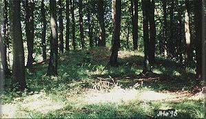Bronze age mound Klinten